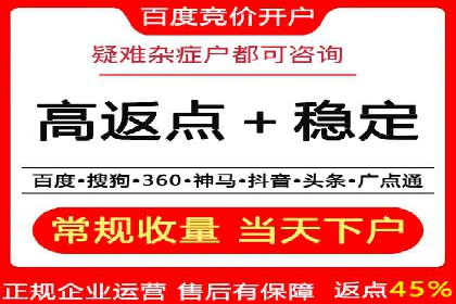 百度搜索广告优化：案例教学提升广告转化率